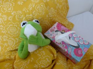 kermit
